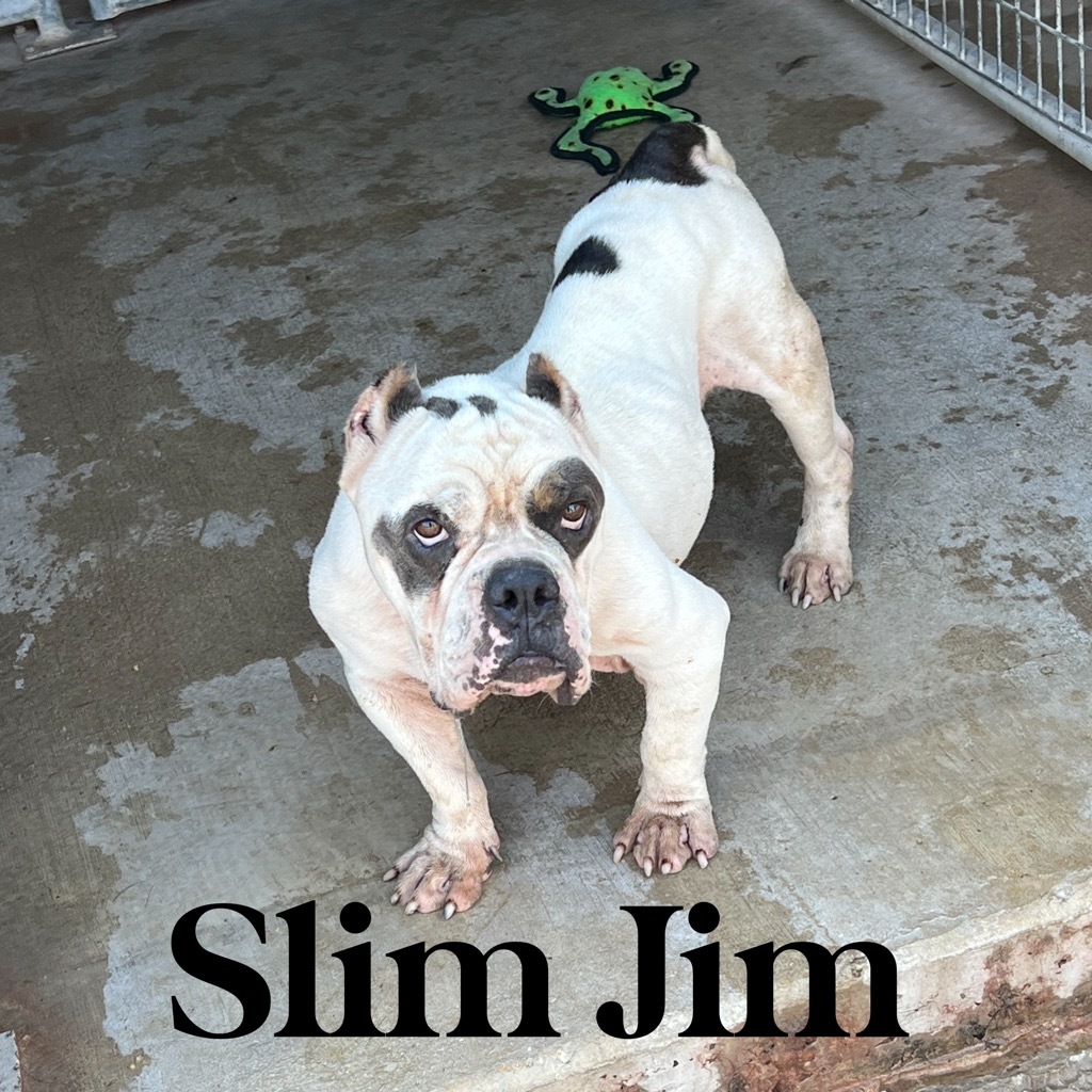 Slim Jim
