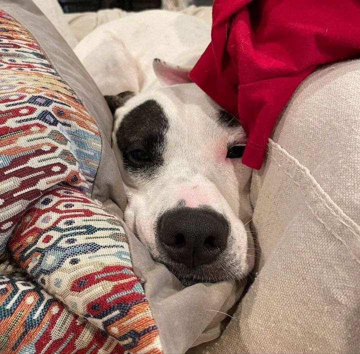 Delilah  3