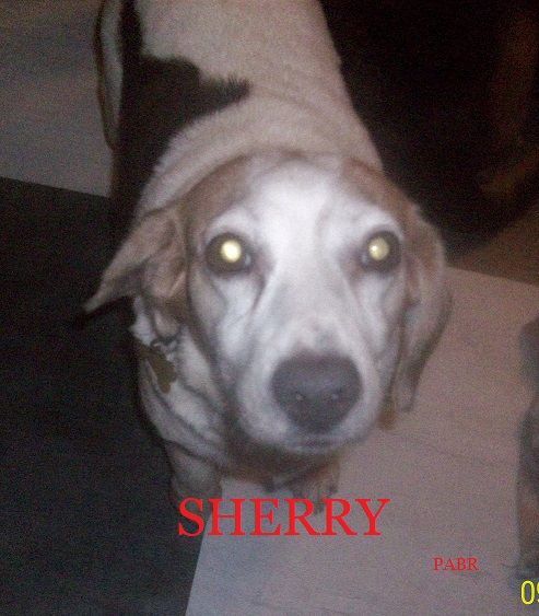 SHERRY