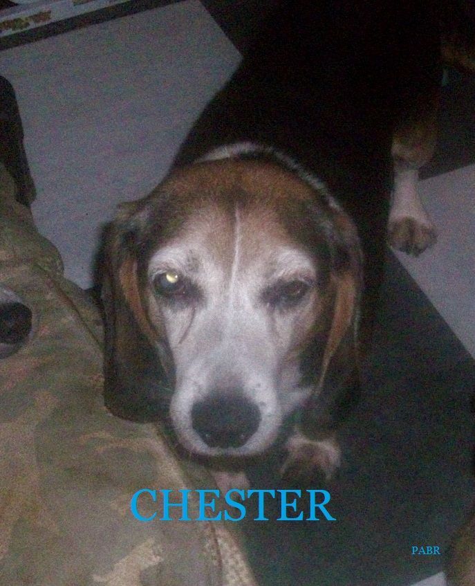 CHESTER