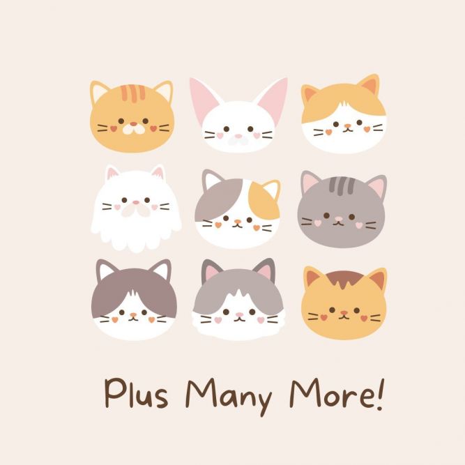 Plus many more cats/kittens! 