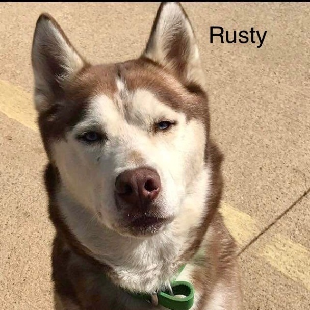 Rusty