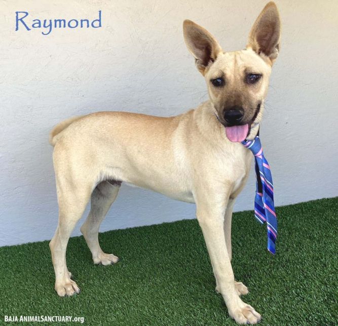 Raymond