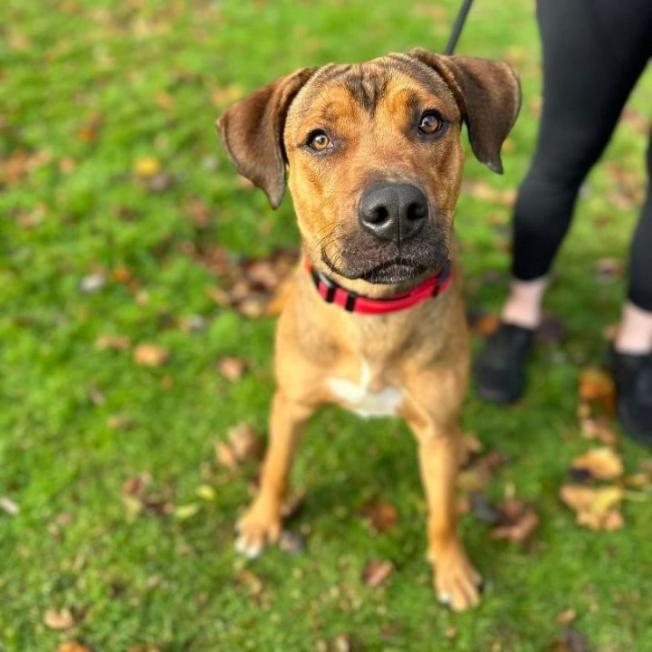 Roman *Sponsored adoption fee* 2