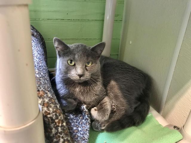 Cecilia (100% Sponsored!)