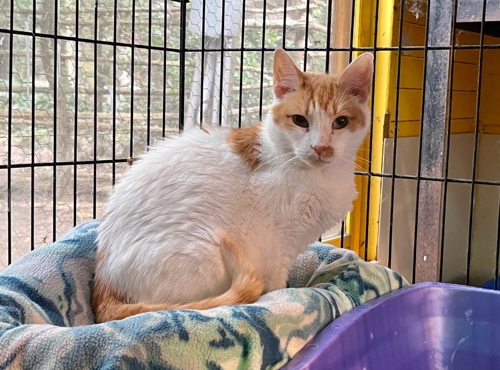 Rebecca (Sponsored)