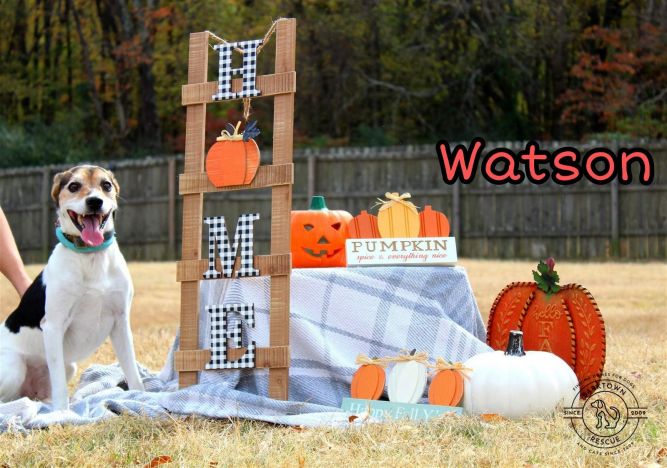 Watson