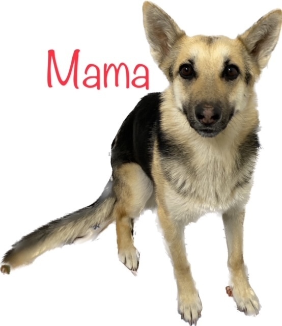 Mama 1