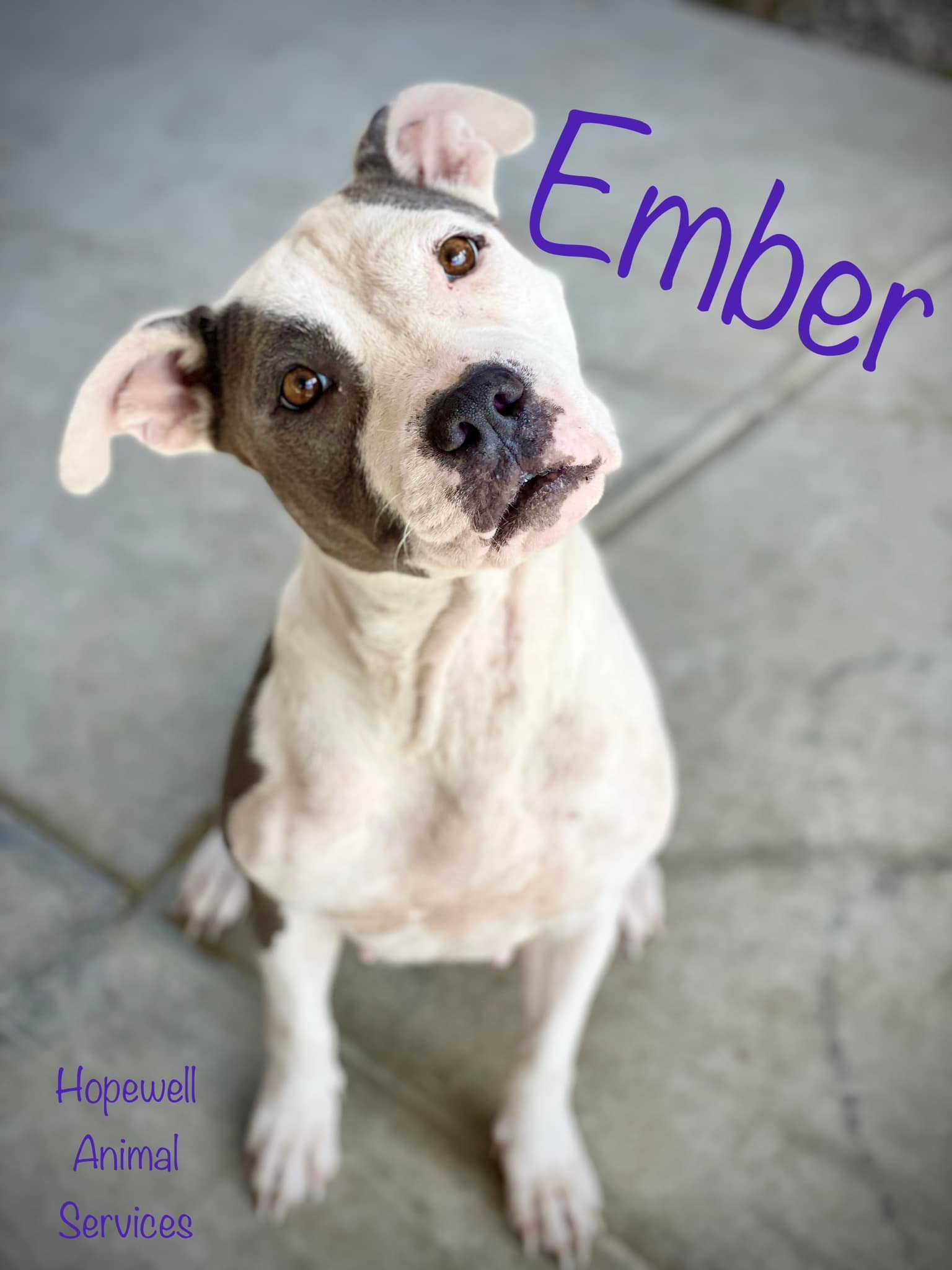 Ember in Hopewell VA