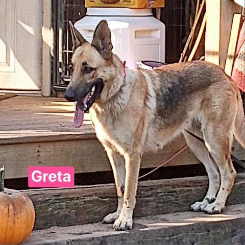 Gretta