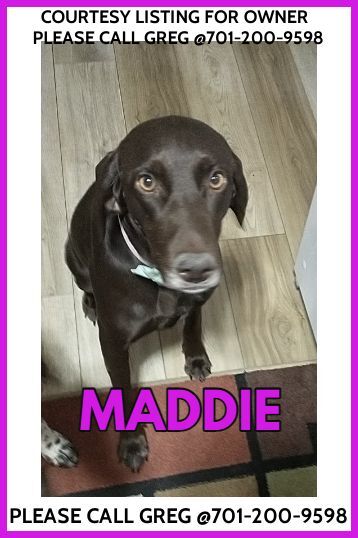 Maddie - COURTESY LISTING FOR OWNER