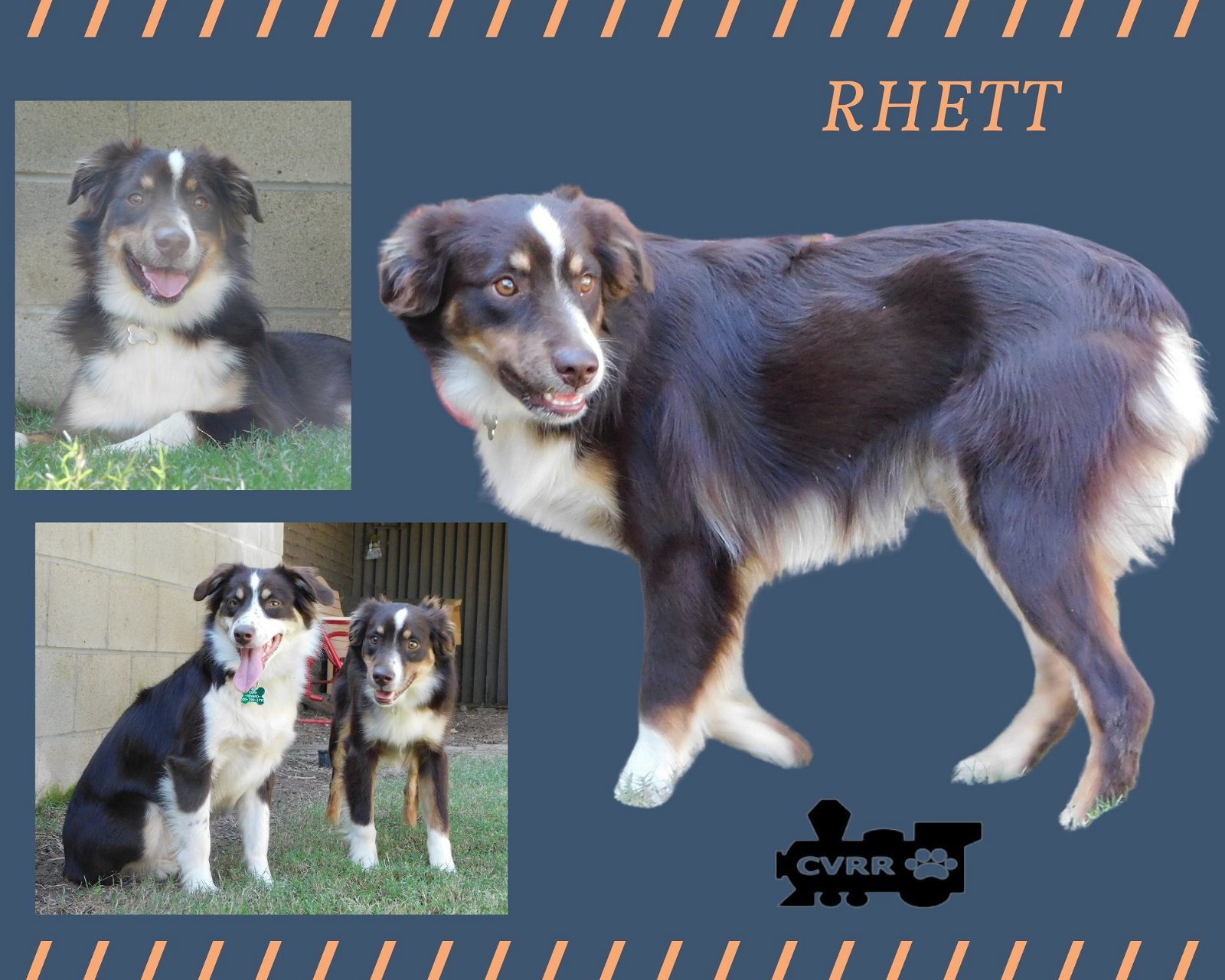 Rhett (Ritzy)