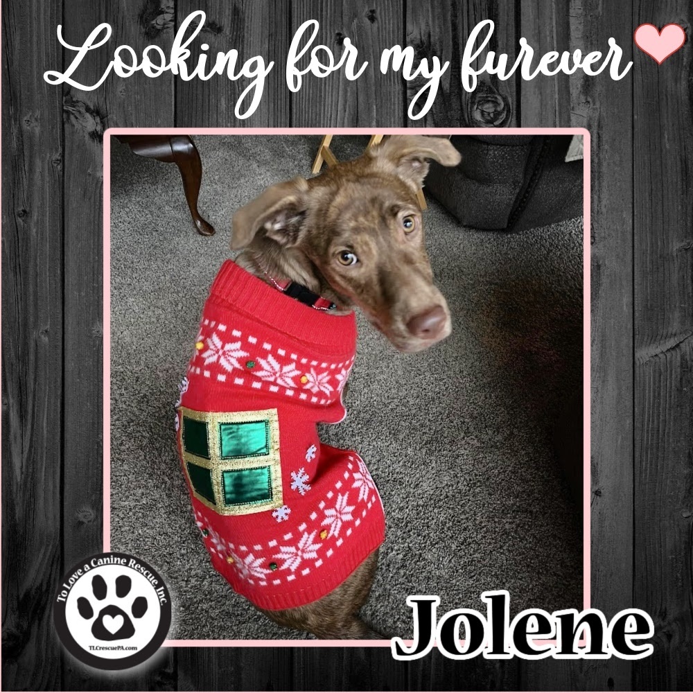 Jolene 100822