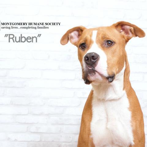 Ruben