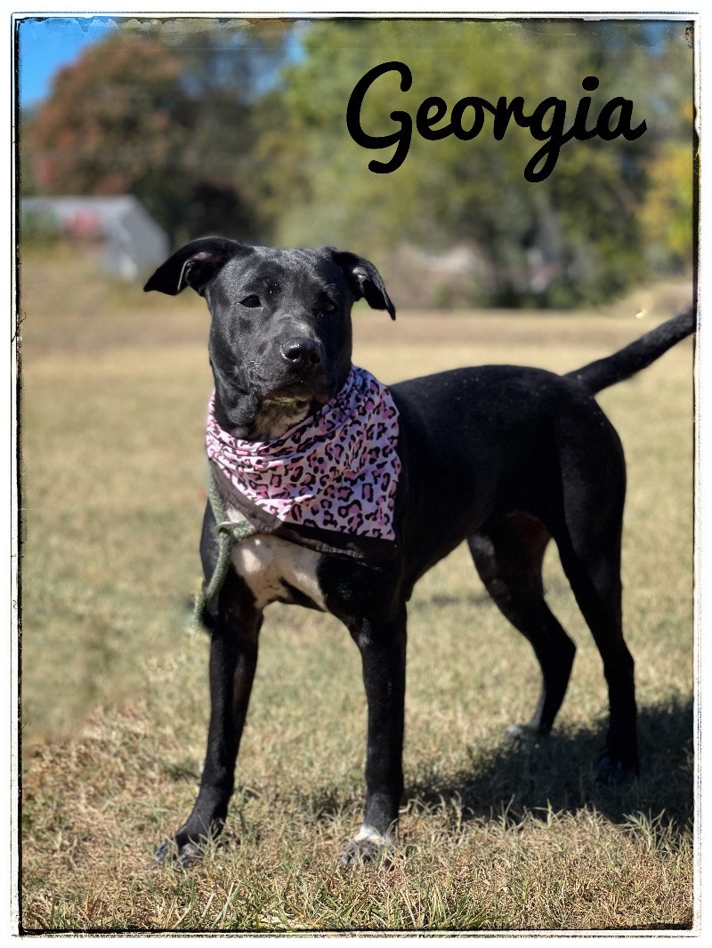 Georgia