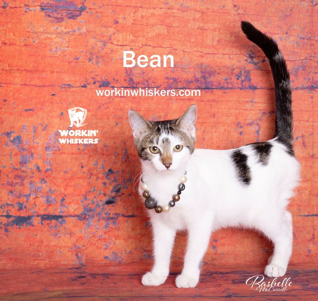 Bean detail page