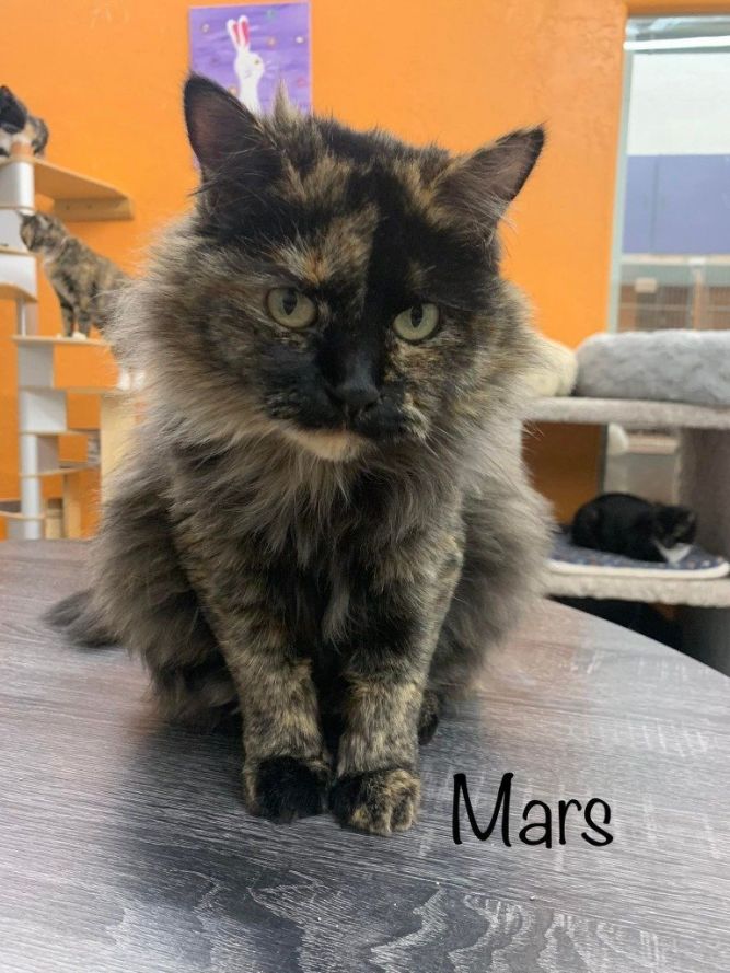 Mars