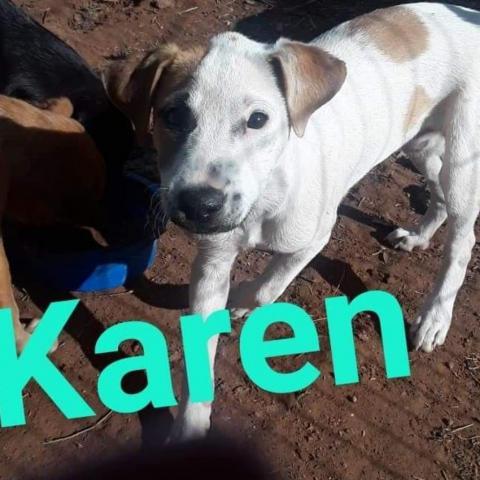 Karen 3_5