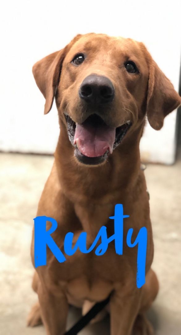 Rusty