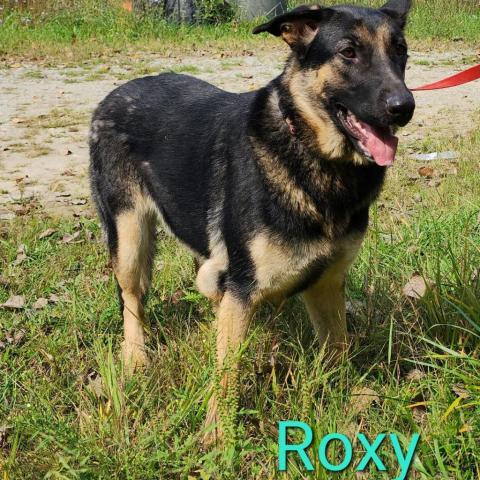 Roxy