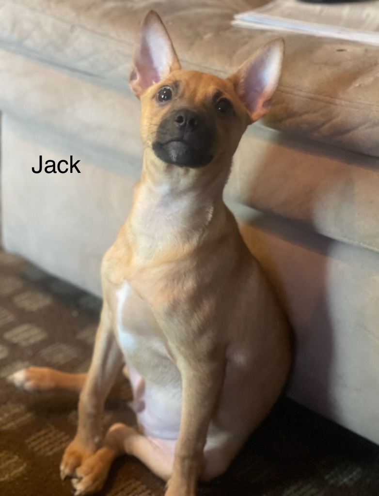 Jack