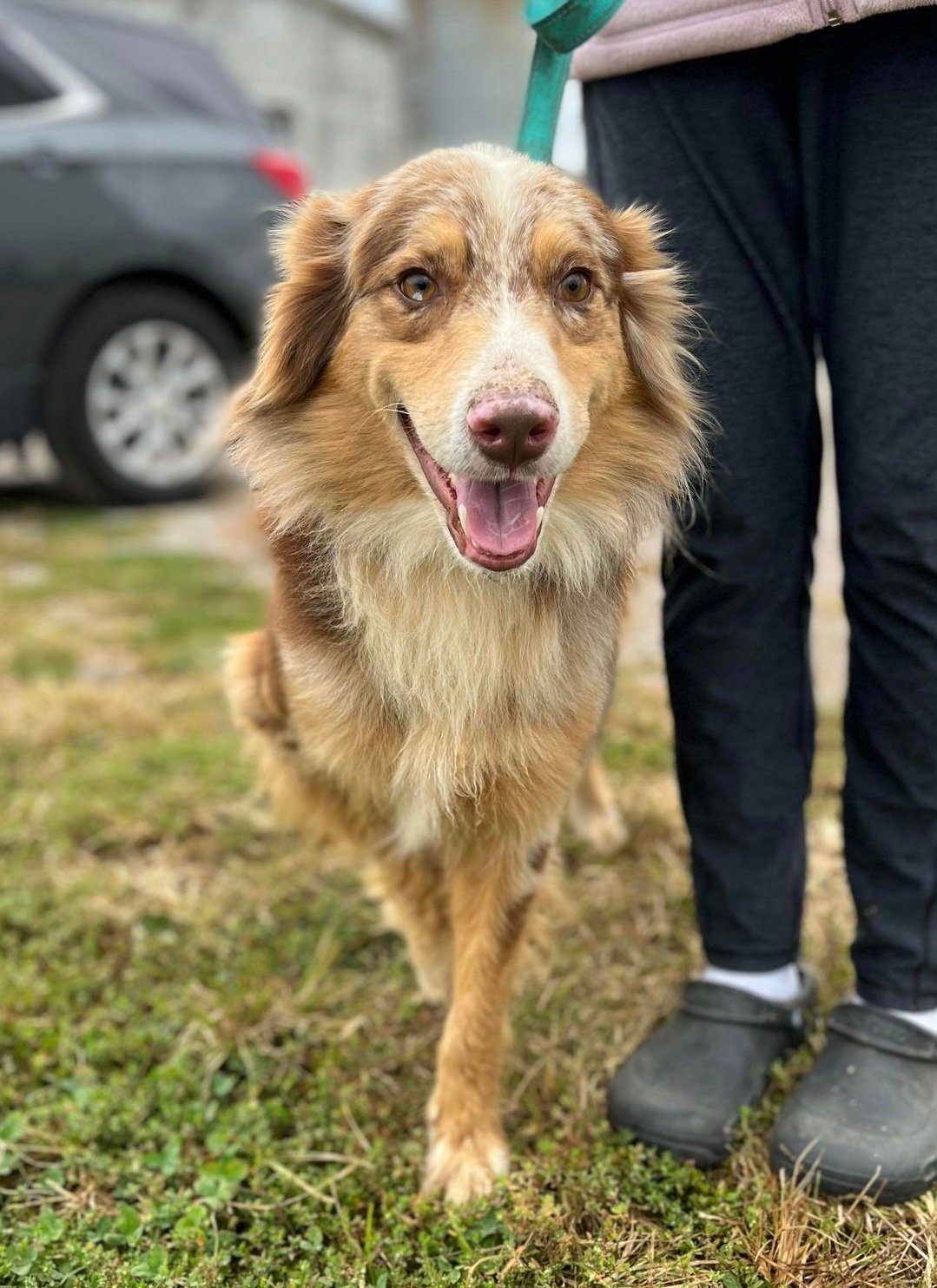 BARCLAY-Pending Adoption