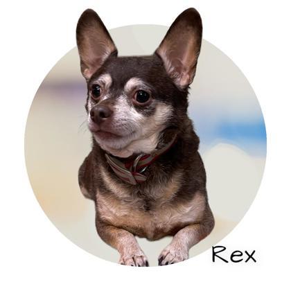 Rex