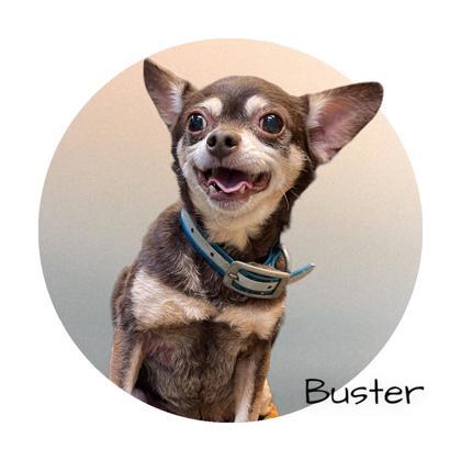 Buster