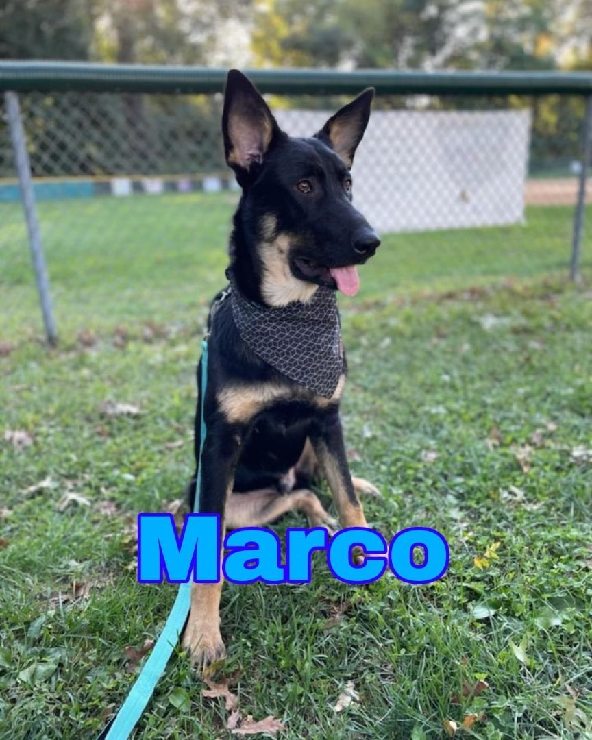 Marco