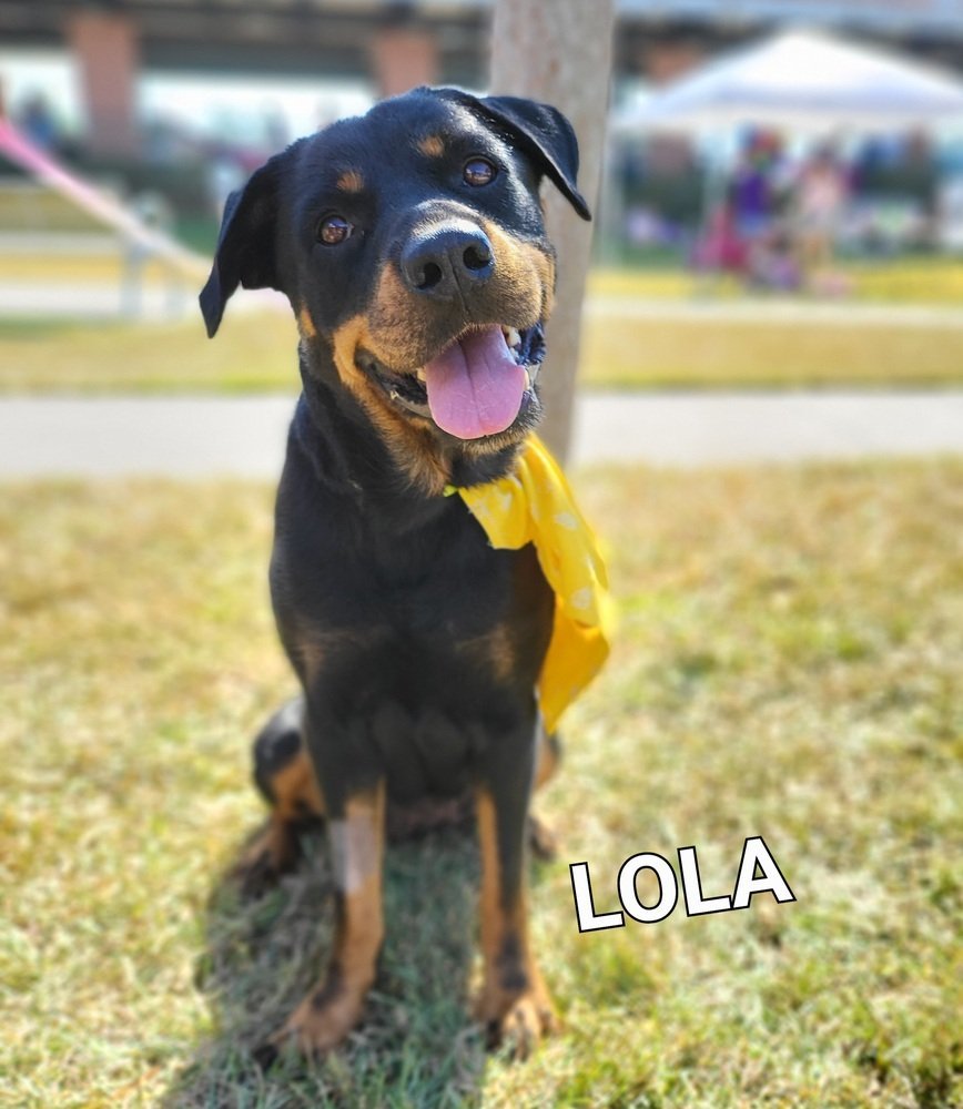 Lola 3