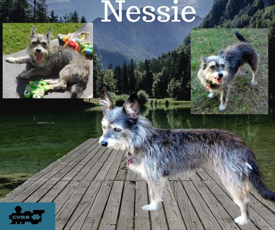 Nessie