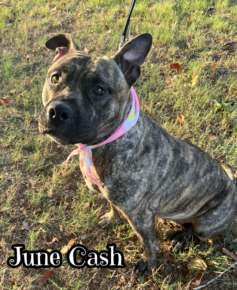 June Cash