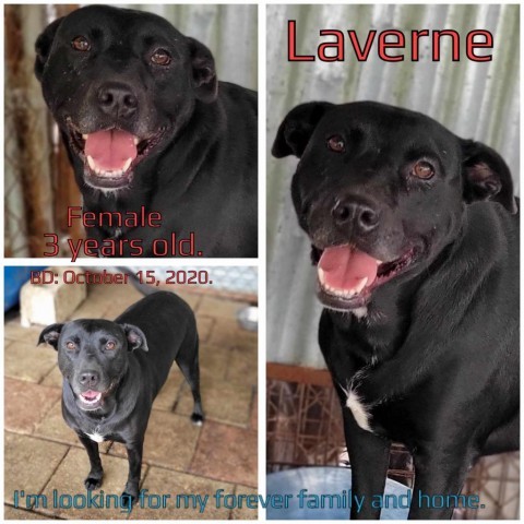 Laverne