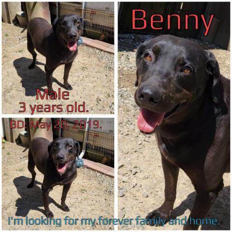 Benny