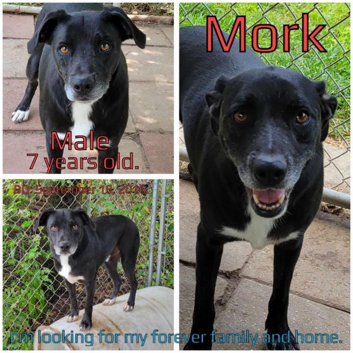 Mork 1