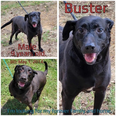 Buster