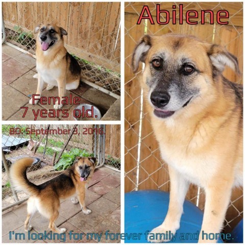 Abilene