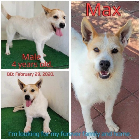 Max