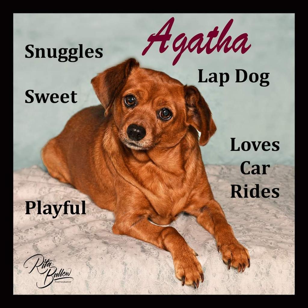 Agatha