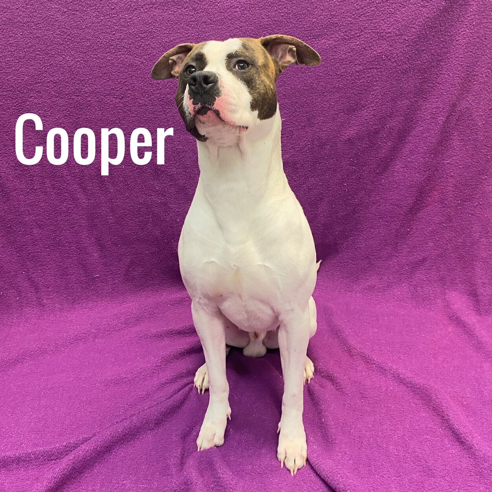 Cooper