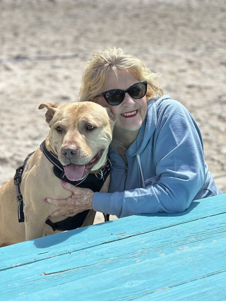 Welcom "TATER", an adoptable American Bulldog in Milton, FL, 32583 | Photo Image 2