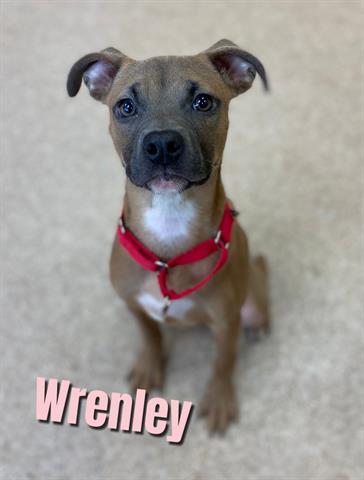 WRENLEY