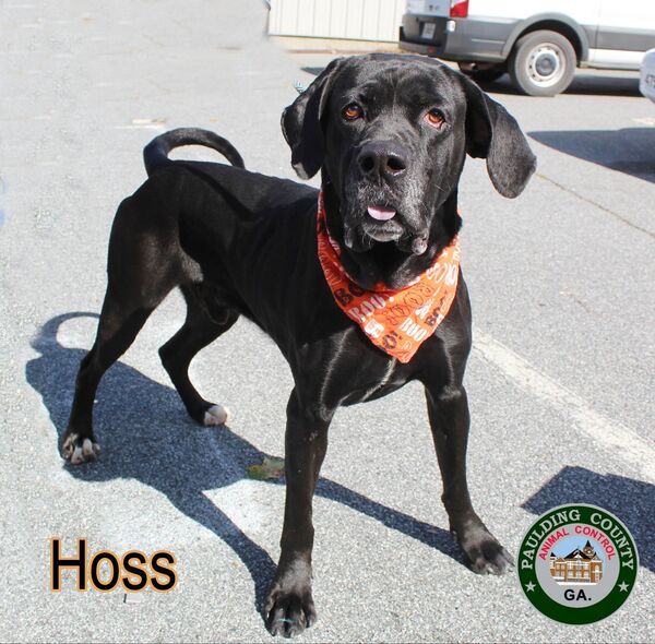 22-09-2640 Hoss