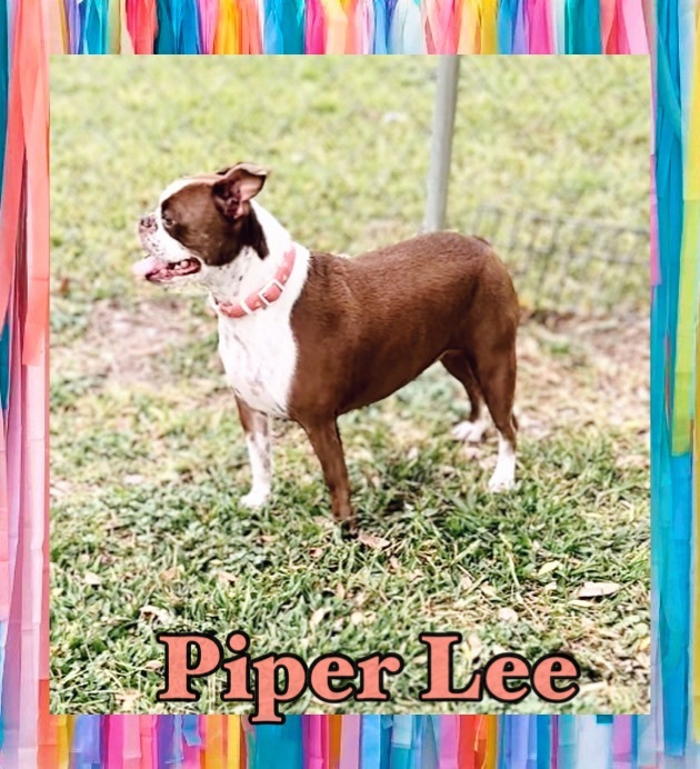 Piper Lee