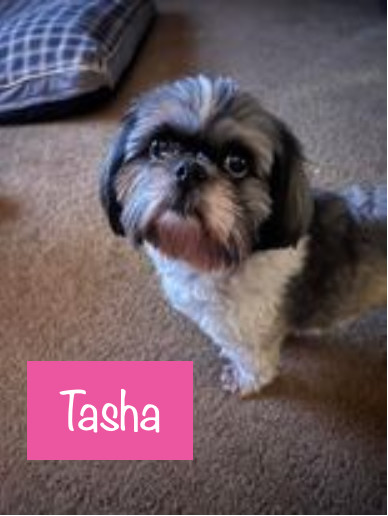 Tasha