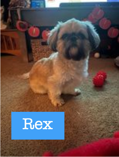 Rex