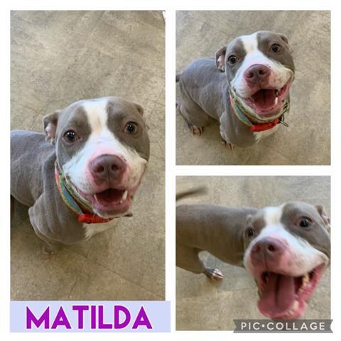 MATILDA