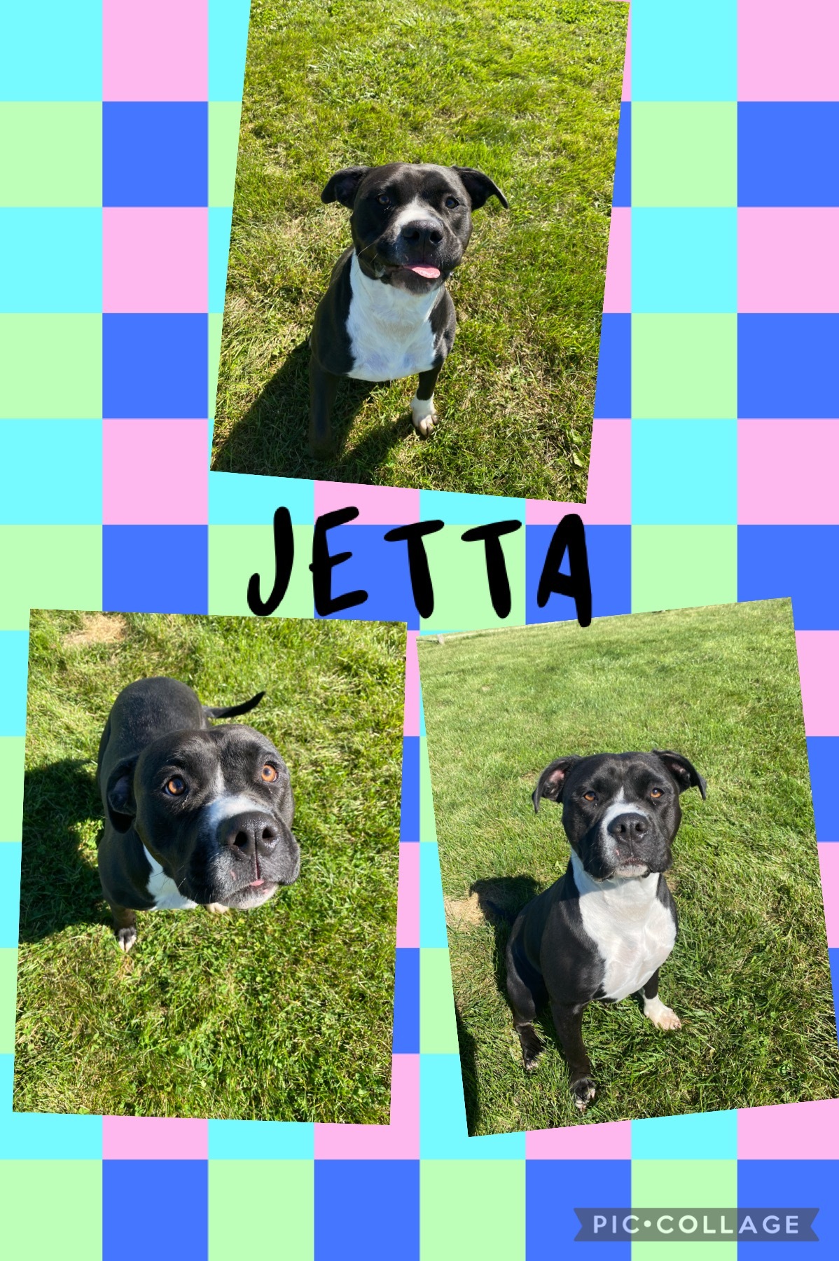 JETTA