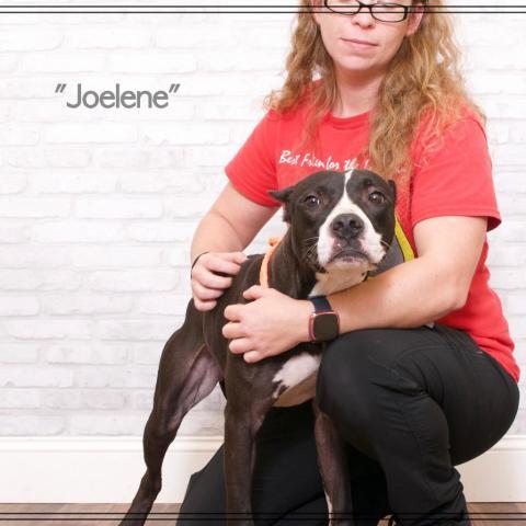 Joelene