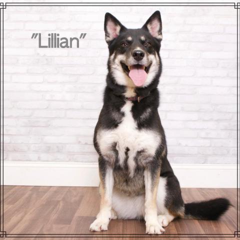 Lillian